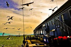 永久授权不过期的免费cc攻击测试